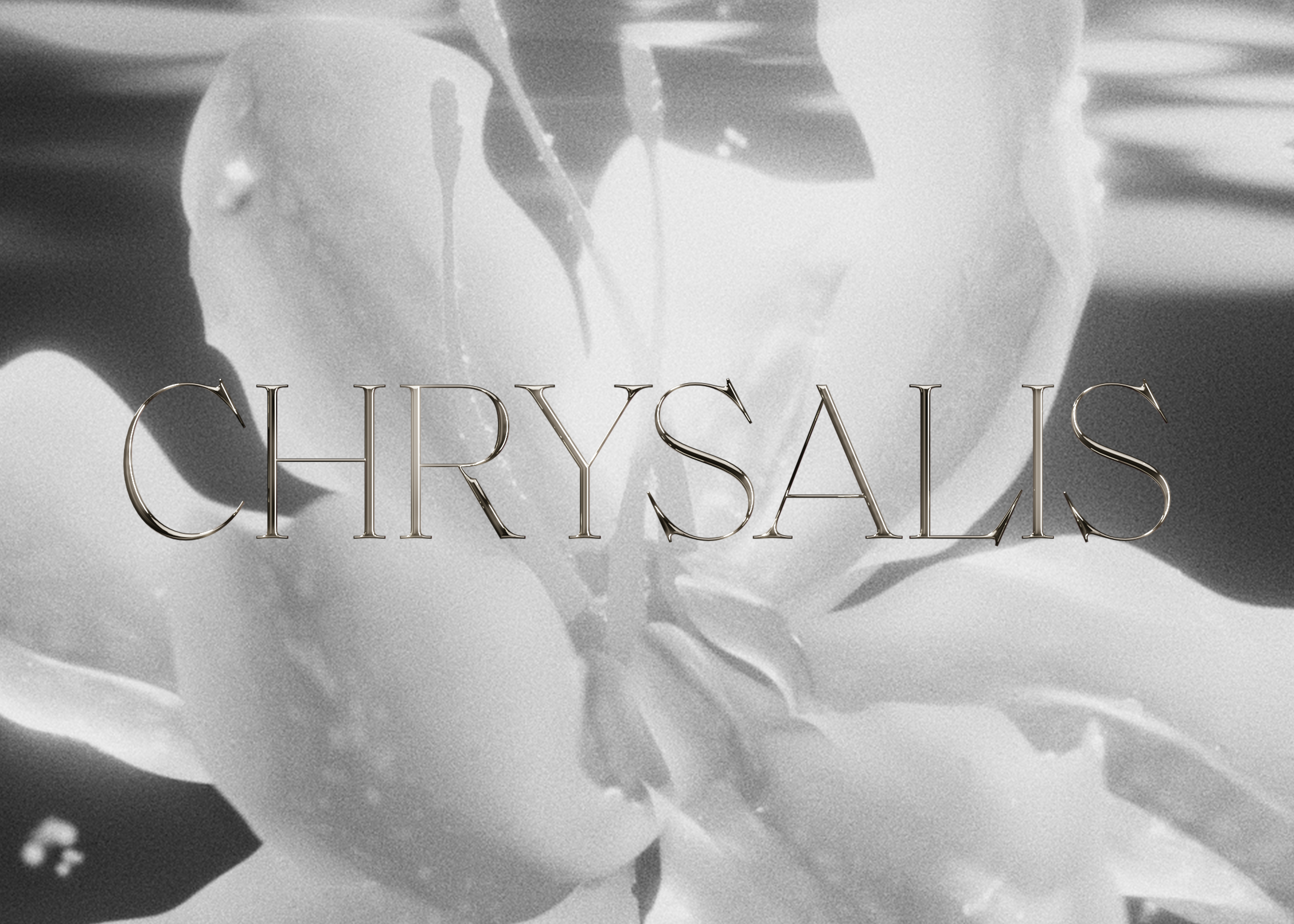 Chrysalis